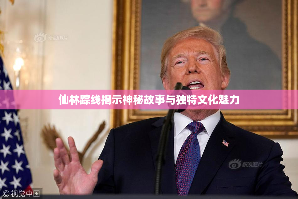 仙林踪线揭示神秘故事与独特文化魅力