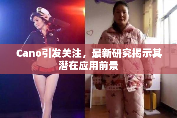 Cano引发关注，最新研究揭示其潜在应用前景