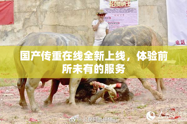 国产传重在线全新上线，体验前所未有的服务