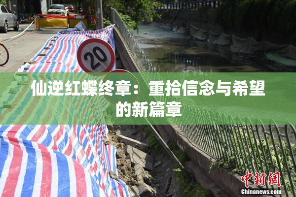 仙逆红蝶终章：重拾信念与希望的新篇章