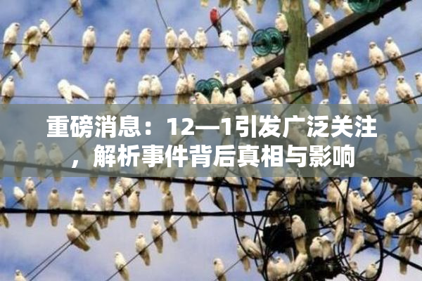 重磅消息：12—1引发广泛关注，解析事件背后真相与影响