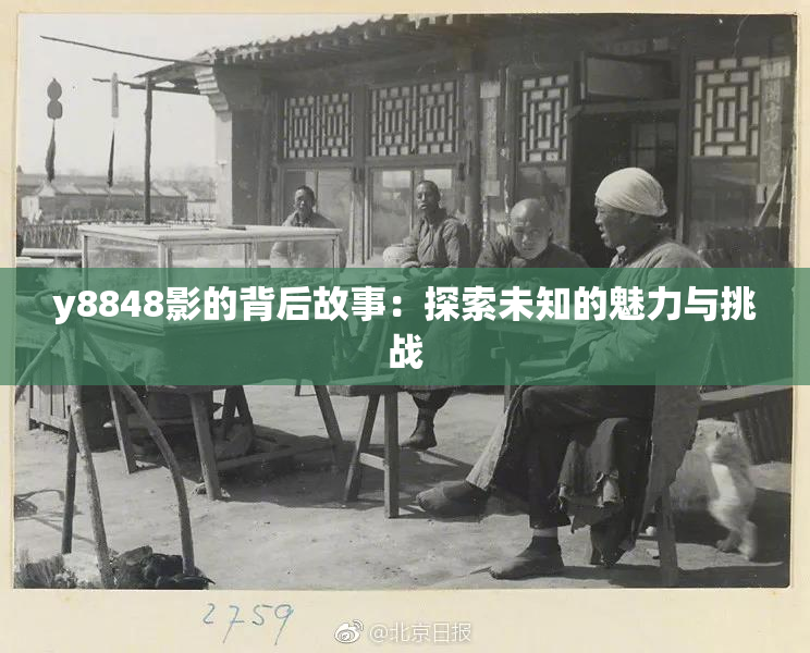 y8848影的背后故事：探索未知的魅力与挑战
