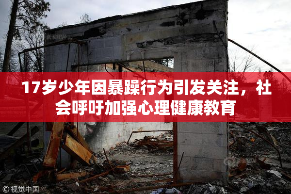 17岁少年因暴躁行为引发关注，社会呼吁加强心理健康教育