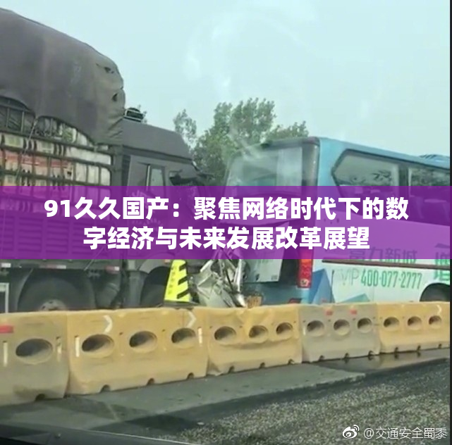 91久久国产：聚焦网络时代下的数字经济与未来发展改革展望