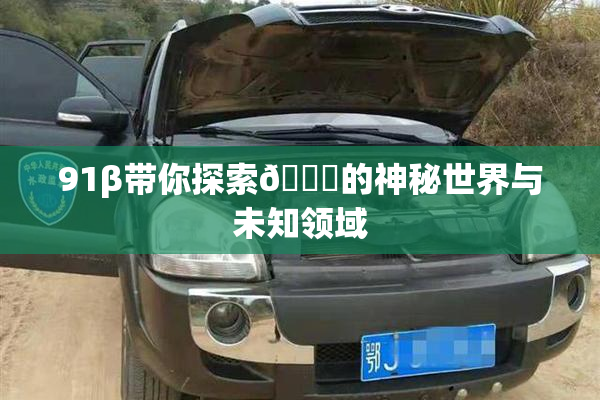 91β带你探索🔞的神秘世界与未知领域