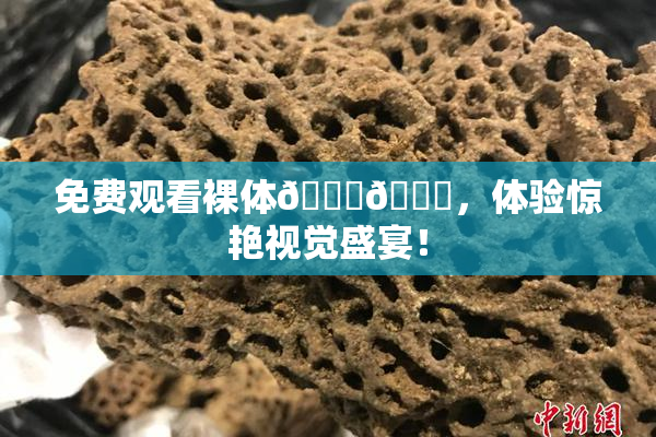 免费观看裸体🔞🔞，体验惊艳视觉盛宴！