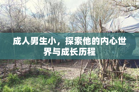 成人男生小，探索他的内心世界与成长历程