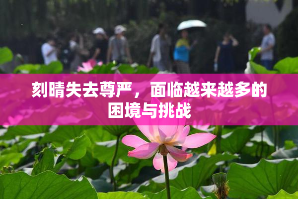 刻晴失去尊严，面临越来越多的困境与挑战