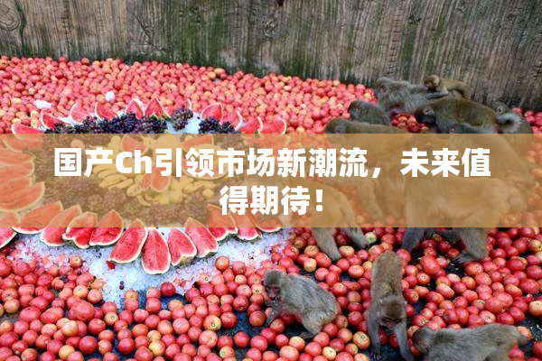 国产Ch引领市场新潮流，未来值得期待！