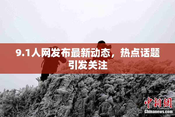 9.1人网发布最新动态，热点话题引发关注