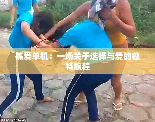 拣爱单机：一场关于选择与爱的独特旅程