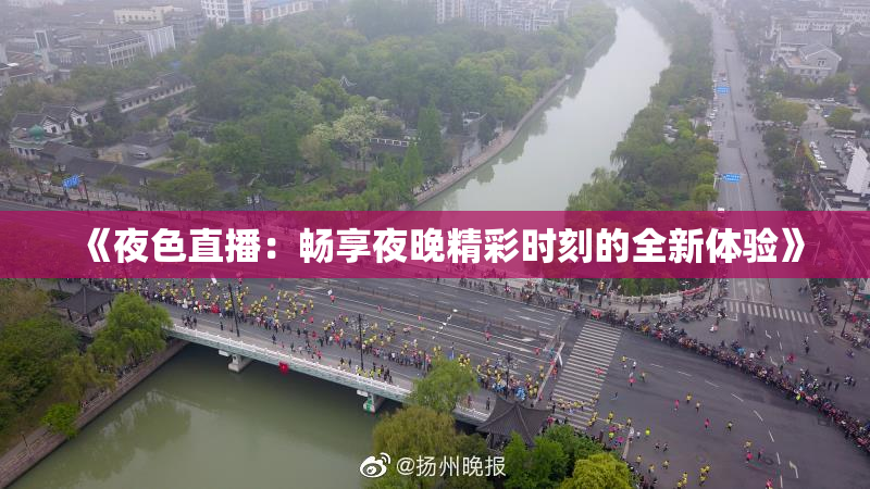 《夜色直播：畅享夜晚精彩时刻的全新体验》