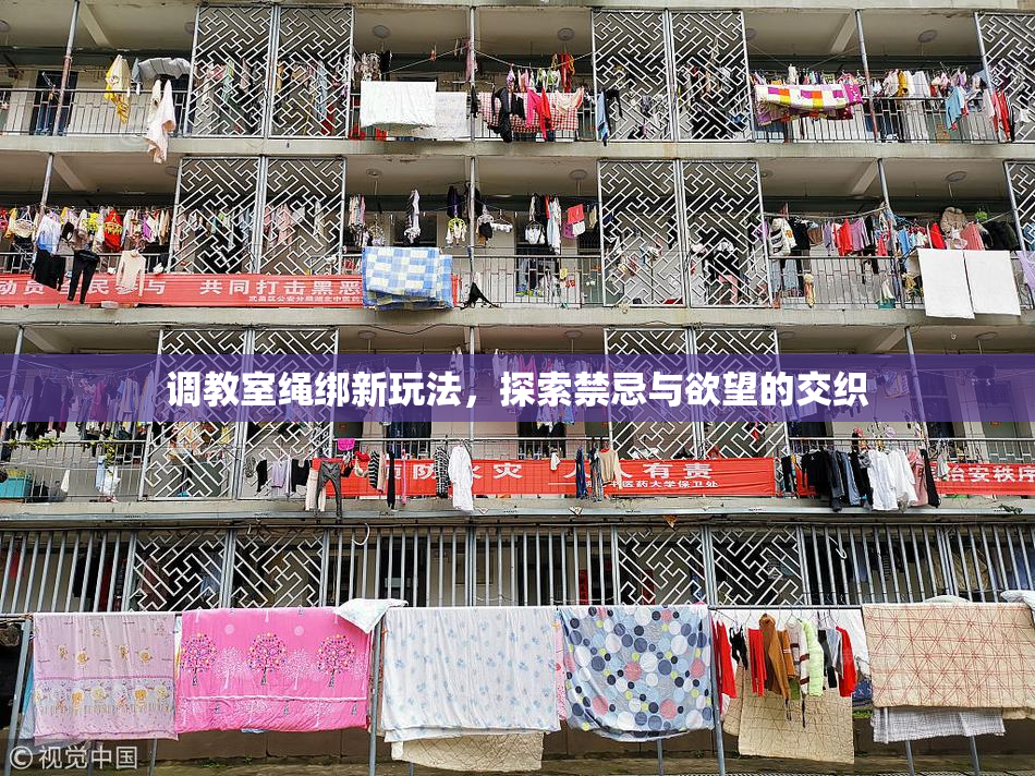 调教室绳绑新玩法，探索禁忌与欲望的交织