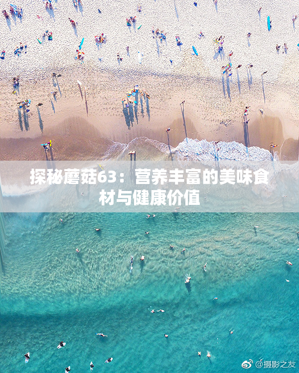 探秘蘑菇63：营养丰富的美味食材与健康价值
