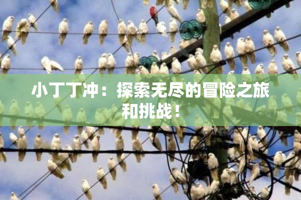 小丁丁冲：探索无尽的冒险之旅和挑战！