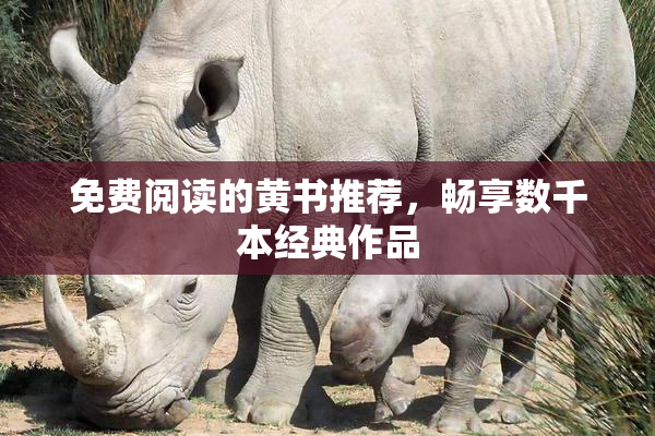 免费阅读的黄书推荐，畅享数千本经典作品