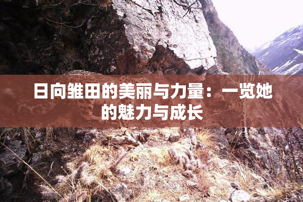 日向雏田的美丽与力量：一览她的魅力与成长