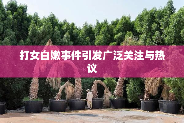 打女白嫩事件引发广泛关注与热议