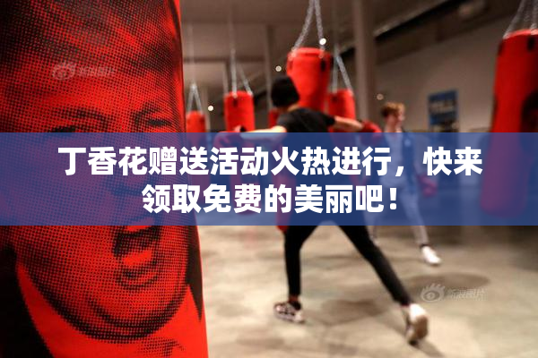 丁香花赠送活动火热进行，快来领取免费的美丽吧！