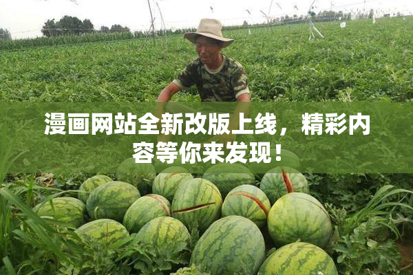 漫画网站全新改版上线，精彩内容等你来发现！