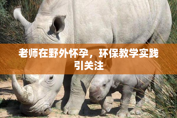 老师在野外怀孕，环保教学实践引关注