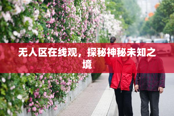 无人区在线观，探秘神秘未知之境