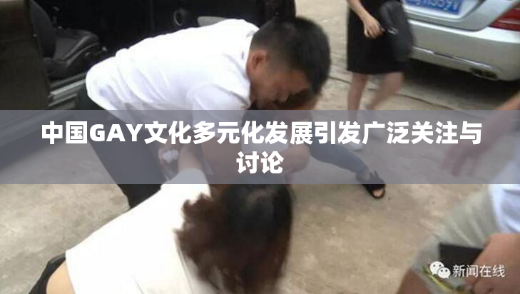 中国GAY文化多元化发展引发广泛关注与讨论