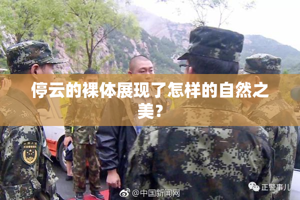 停云的裸体展现了怎样的自然之美？