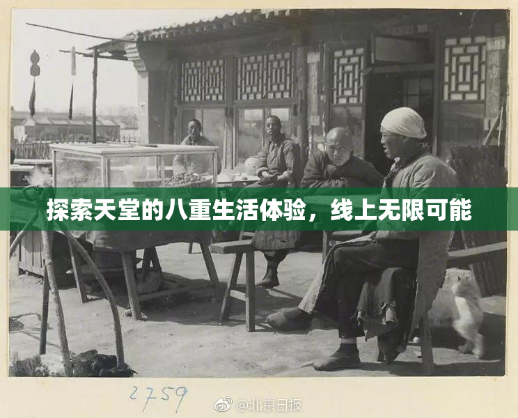 探索天堂的八重生活体验，线上无限可能