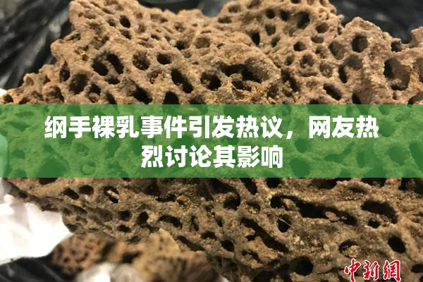 纲手裸乳事件引发热议，网友热烈讨论其影响