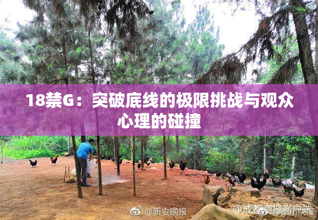 18禁G：突破底线的极限挑战与观众心理的碰撞