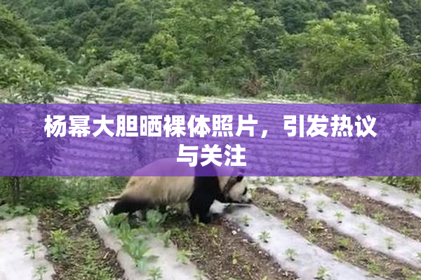 杨幂大胆晒裸体照片，引发热议与关注