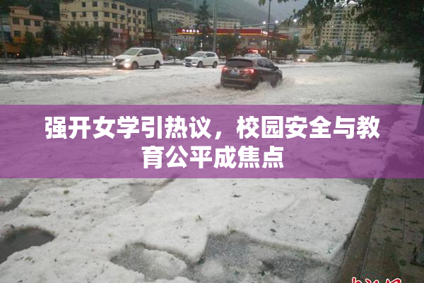 强开女学引热议，校园安全与教育公平成焦点