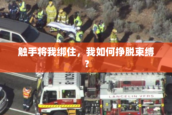 触手将我绑住，我如何挣脱束缚？