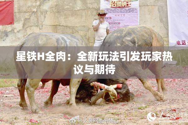 星铁H全肉：全新玩法引发玩家热议与期待