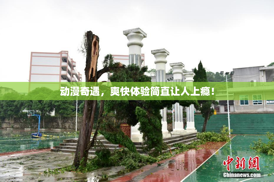 动漫奇遇，爽快体验简直让人上瘾！