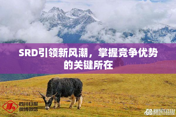 SRD引领新风潮，掌握竞争优势的关键所在