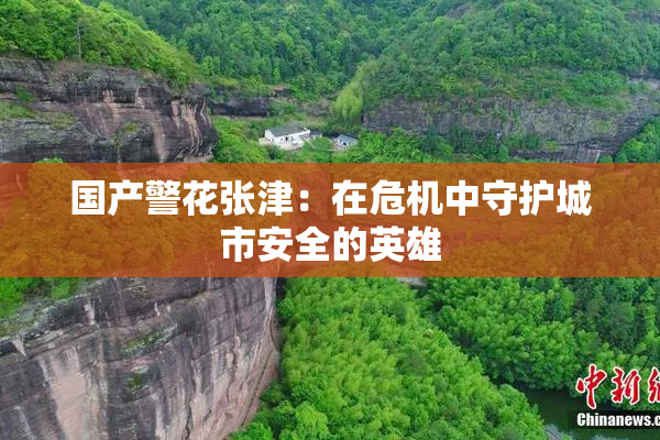 国产警花张津：在危机中守护城市安全的英雄