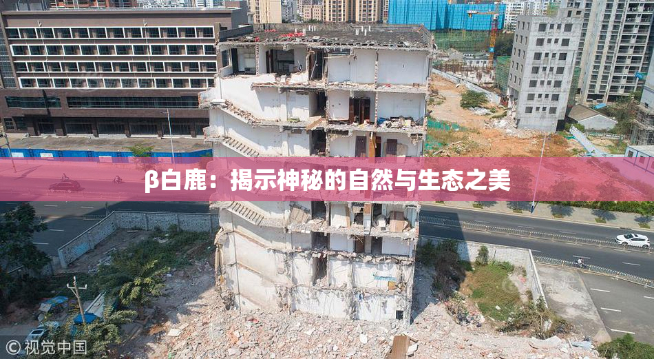 β白鹿：揭示神秘的自然与生态之美