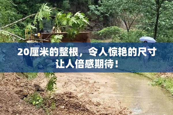 20厘米的整根，令人惊艳的尺寸让人倍感期待！