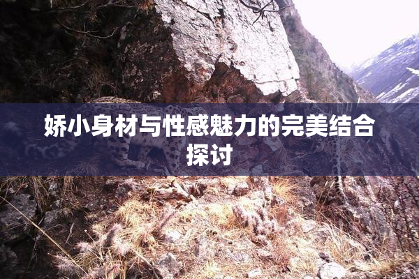 娇小身材与性感魅力的完美结合探讨