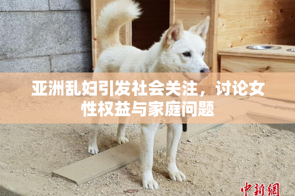 亚洲乱妇引发社会关注，讨论女性权益与家庭问题
