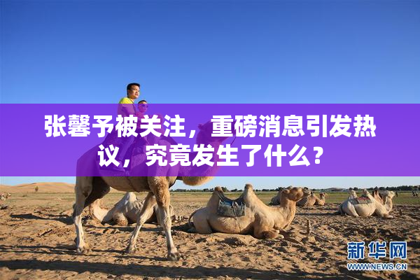张馨予被关注，重磅消息引发热议，究竟发生了什么？