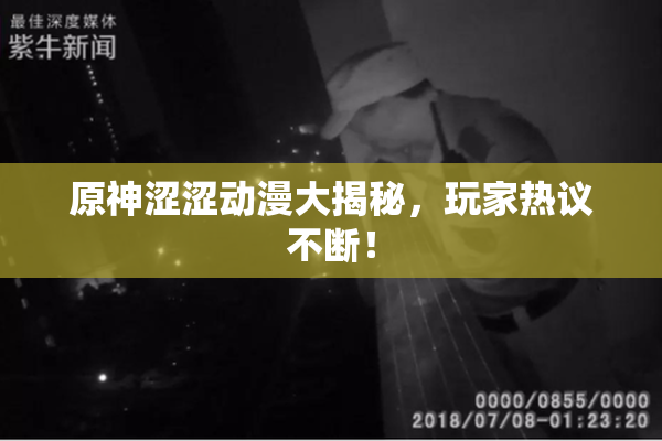 原神涩涩动漫大揭秘，玩家热议不断！