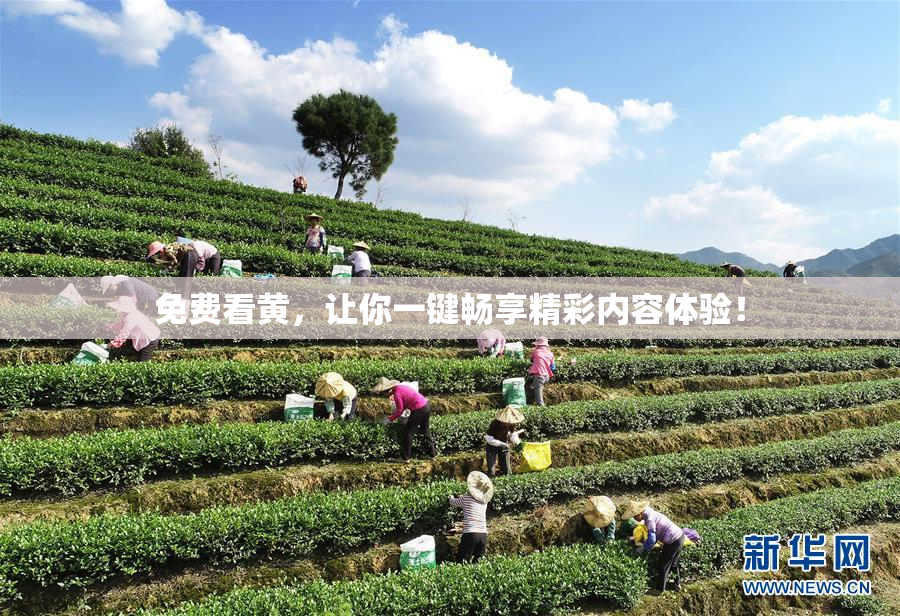 免费看黄，让你一键畅享精彩内容体验！