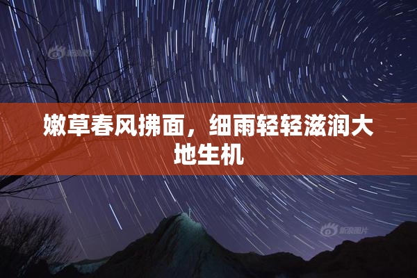 嫩草春风拂面，细雨轻轻滋润大地生机