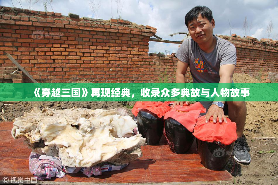 《穿越三国》再现经典，收录众多典故与人物故事