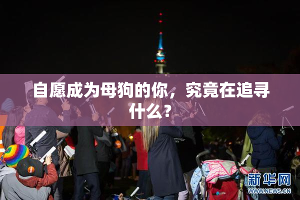 自愿成为母狗的你，究竟在追寻什么？