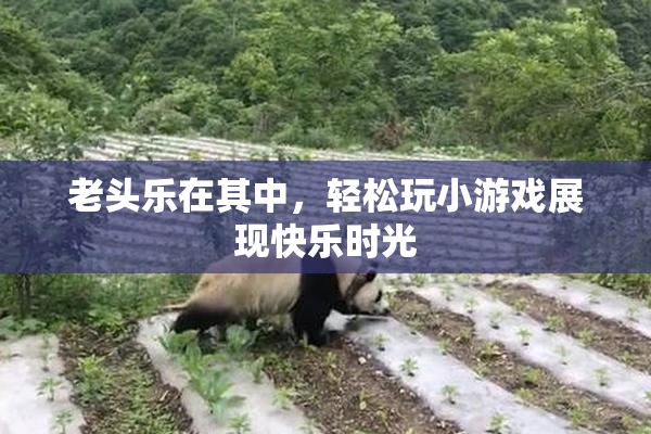 老头乐在其中，轻松玩小游戏展现快乐时光