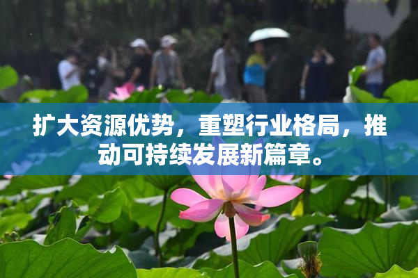扩大资源优势，重塑行业格局，推动可持续发展新篇章。